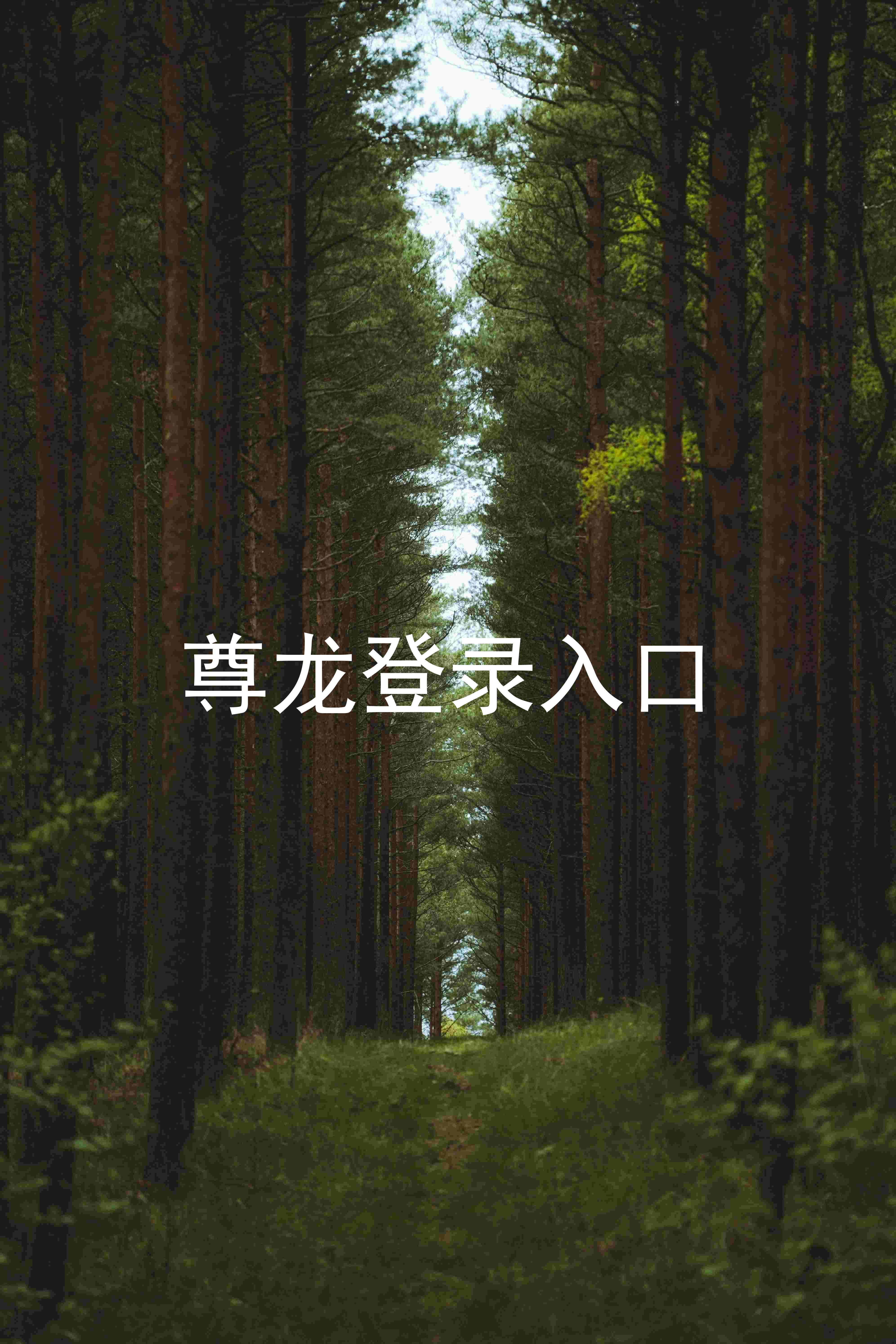 尊龙登录入口