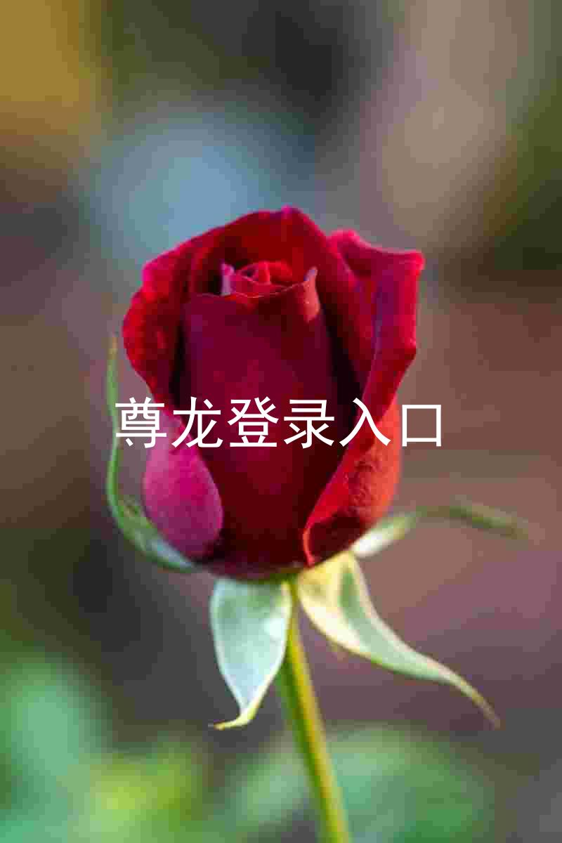 尊龙登录入口
