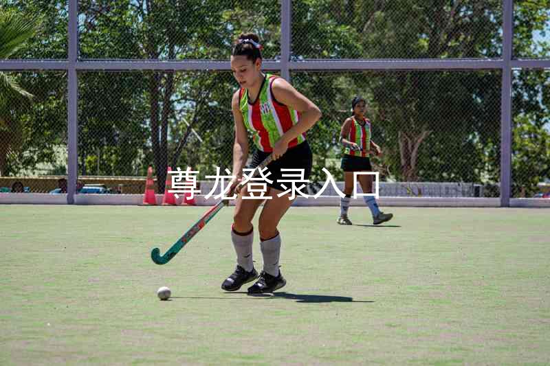 尊龙登录入口