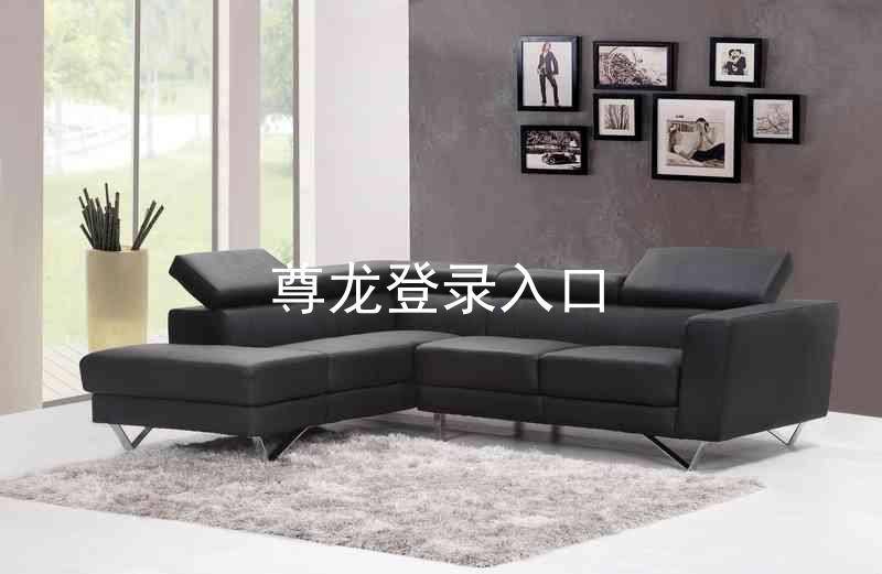 尊龙登录入口